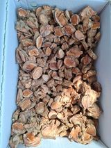 팜모닝 버섯·영농일지 게시글 이미지