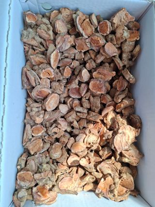 자연같이님의 작성글 사진