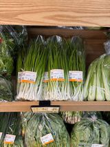 팜모닝 파·영농일지 게시글 이미지