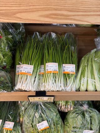 김영완님의 파 · 영농일지 작성글 사진