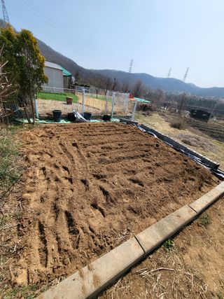 늘찬님의 기타작물 · 영농일지 작성글 사진