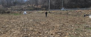 강호지인님의 기타작물 · 영농일지 작성글 사진