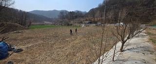 강호지인님의 기타작물 · 영농일지 작성글 사진