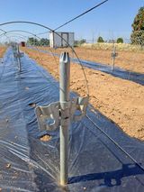 팜모닝 고추·영농일지 게시글 이미지