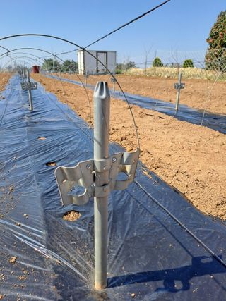 고산1128님의 작성글 사진