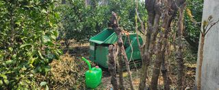 김형철님의 귤 · 영농일지 작성글 사진