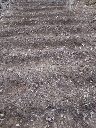 인생은 소풍처럼~님의 기타작물 · 영농일지 작성글 사진