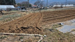 산골아찌님의 기타작물 · 영농일지 작성글 사진