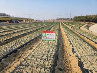 김병창님의 파 · 영농일지 작성글 사진