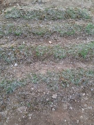 인생은 소풍처럼~님의 기타작물 · 영농일지 작성글 사진