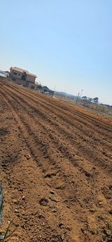 박애경님의 작성글 사진