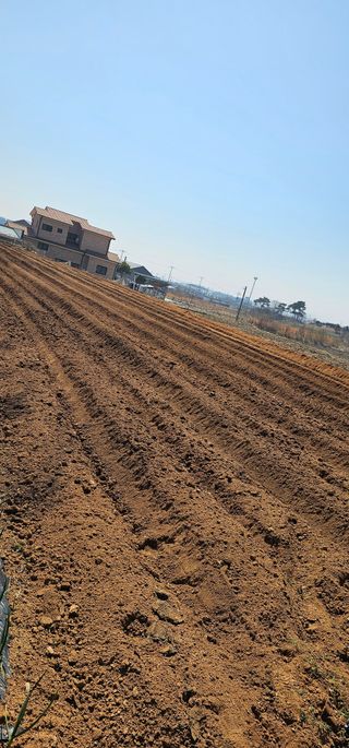 박애경님의 고추 · 영농일지 작성글 사진