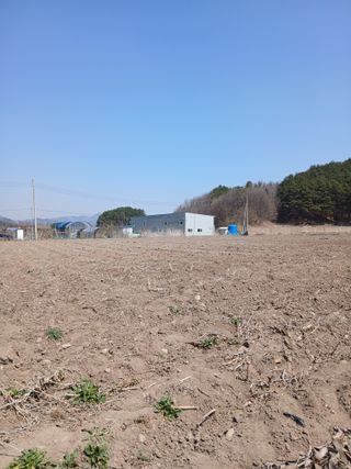 벼15517님의 기타작물 · 영농일지 작성글 사진