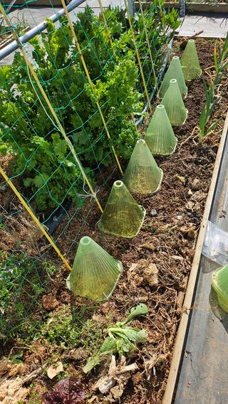 유기농으로키우자님의 기타작물 · 영농일지 작성글 사진