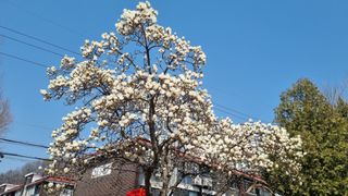 김지철님의 기타작물 · 영농일지 작성글 사진