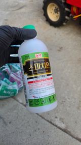 팜모닝 사과·영농일지 게시글 이미지