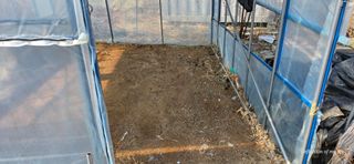 산골아찌님의 작성글 사진