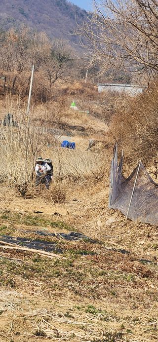 최군환님의 버섯 · 영농일지 작성글 사진