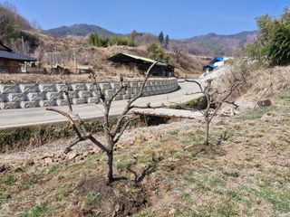 성은모님의 기타작물 · 영농일지 작성글 사진