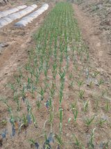 강지현님의 작성글 사진