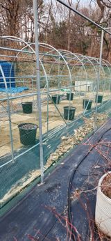 귤8352님의 작성글 사진