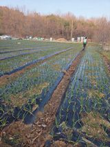 김정은님의 작성글 사진