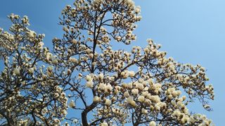 김지철님의 기타작물 · 영농일지 작성글 사진