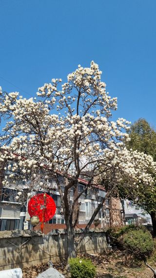 김지철님의 작성글 사진
