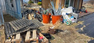 산골아찌님의 기타작물 · 영농일지 작성글 사진