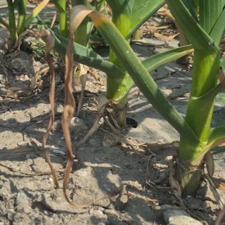 박흠님의 작성글 사진