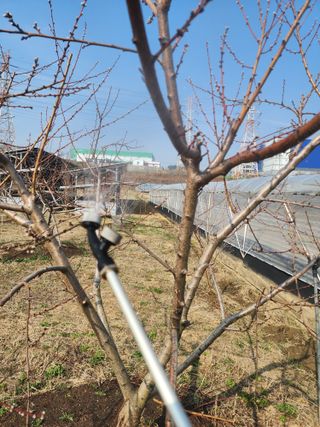 박병한님의 복숭아 · 영농일지 작성글 사진