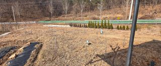 강호지인님의 작성글 사진