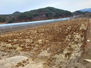 포도21494님의 벼 · 영농일지 작성글 사진