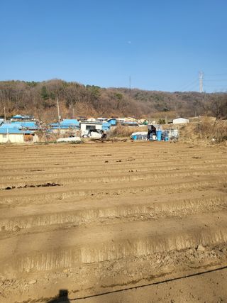 전선경님의 기타작물 · 영농일지 작성글 사진