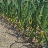 박흠님의 작성글 사진