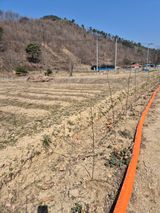 팜모닝 기타작물·영농일지 게시글 이미지