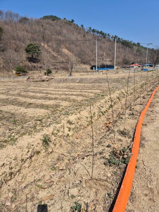 김기탁님의 기타작물 · 영농일지 작성글 사진