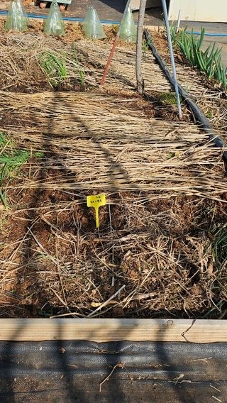 유기농으로키우자님의 기타작물 · 영농일지 작성글 사진