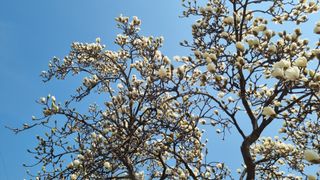 김지철님의 기타작물 · 영농일지 작성글 사진