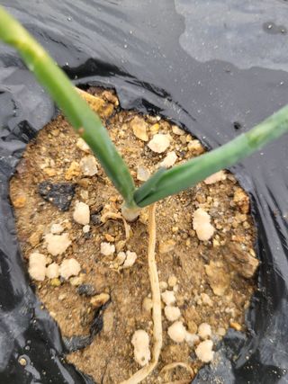 알렉산더님의 작성글 사진