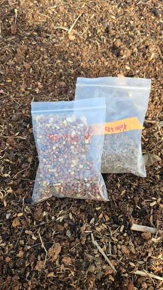 유기농으로키우자님의 기타작물 · 영농일지 작성글 사진