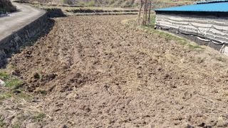 김동명님의 벼 · 영농일지 작성글 사진