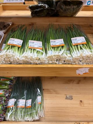 김영완님의 파 · 영농일지 작성글 사진