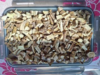 자연같이님의 버섯 · 영농일지 작성글 사진