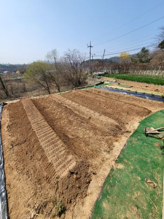 늘찬님의 기타작물 · 영농일지 작성글 사진