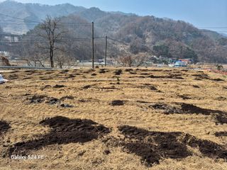 들깨18202님의 기타작물 · 영농일지 작성글 사진