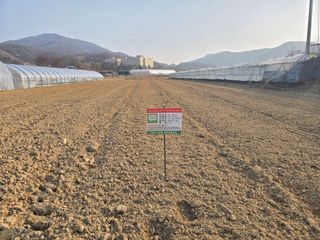 김병창님의 파 · 영농일지 작성글 사진