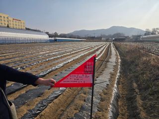 김병창님의 파 · 영농일지 작성글 사진