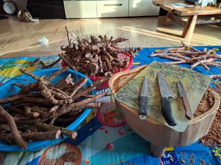 자연같이님의 버섯 · 영농일지 작성글 사진