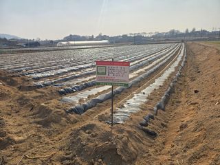 김병창님의 파 · 영농일지 작성글 사진